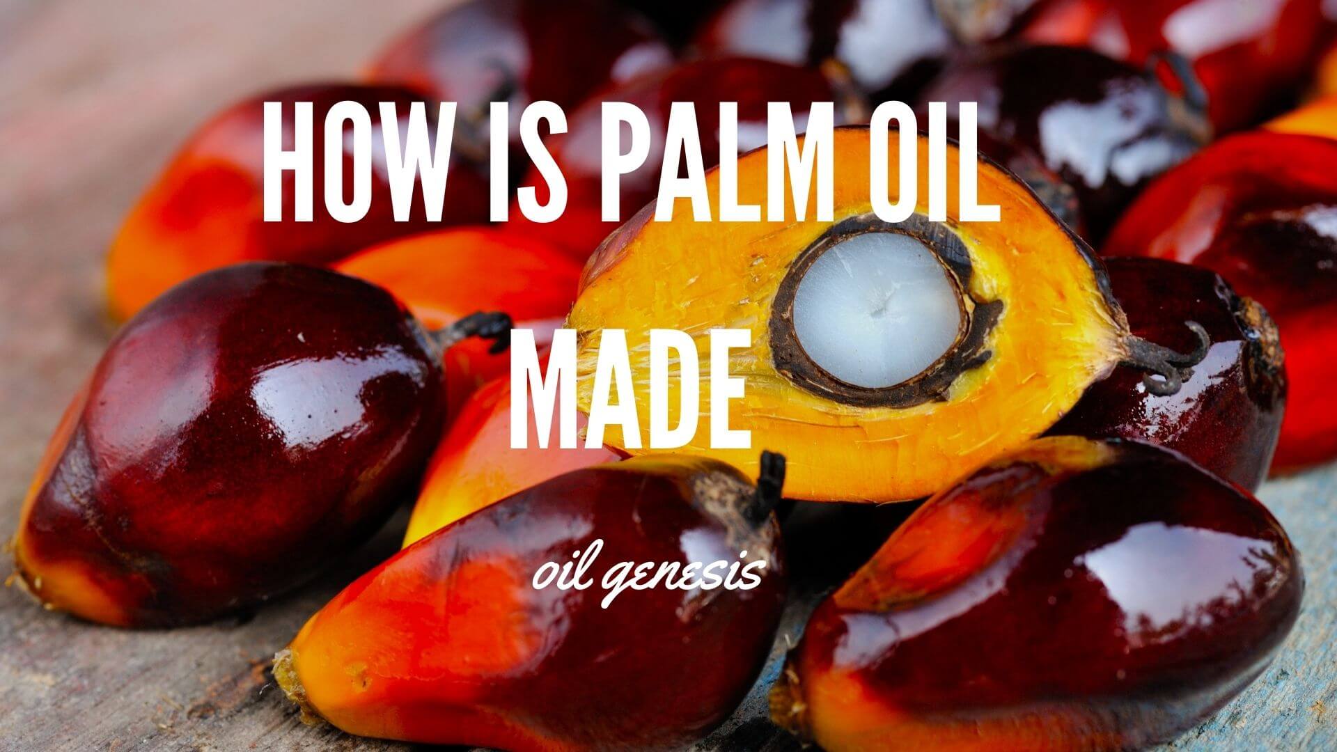 How is Palm Oil Made Oil Genesis