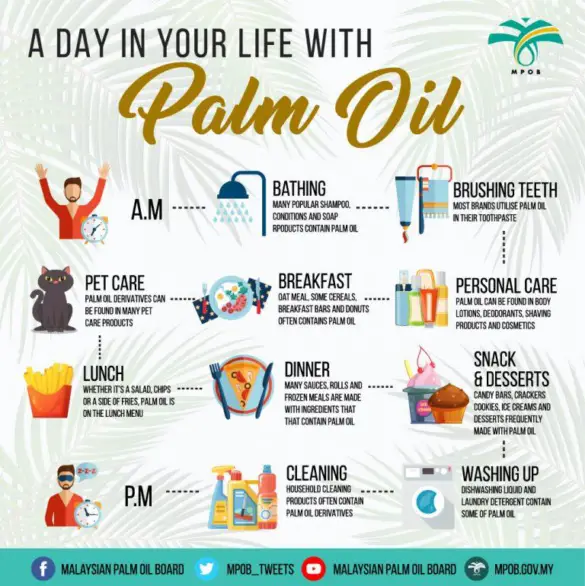 Is Palm Oil Keto Friendly Oil Genesis